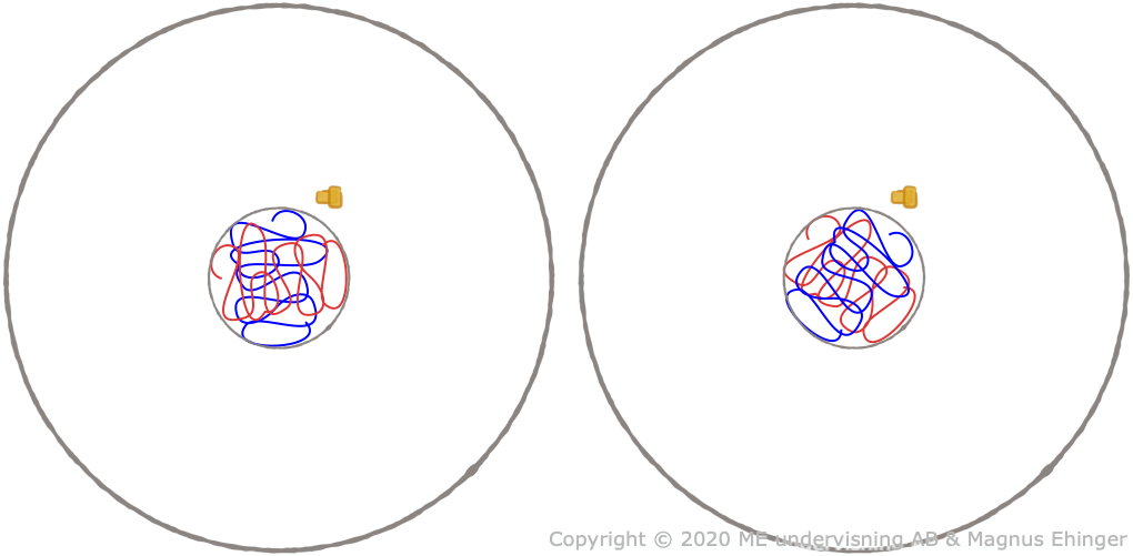 Cytokinesis.