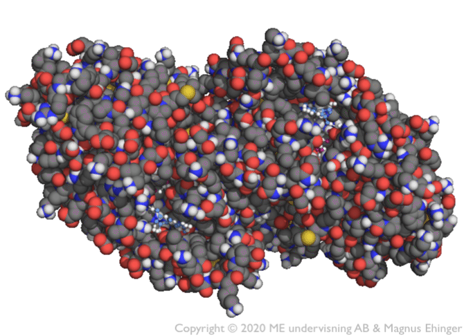 Proteins are very large molecules.
