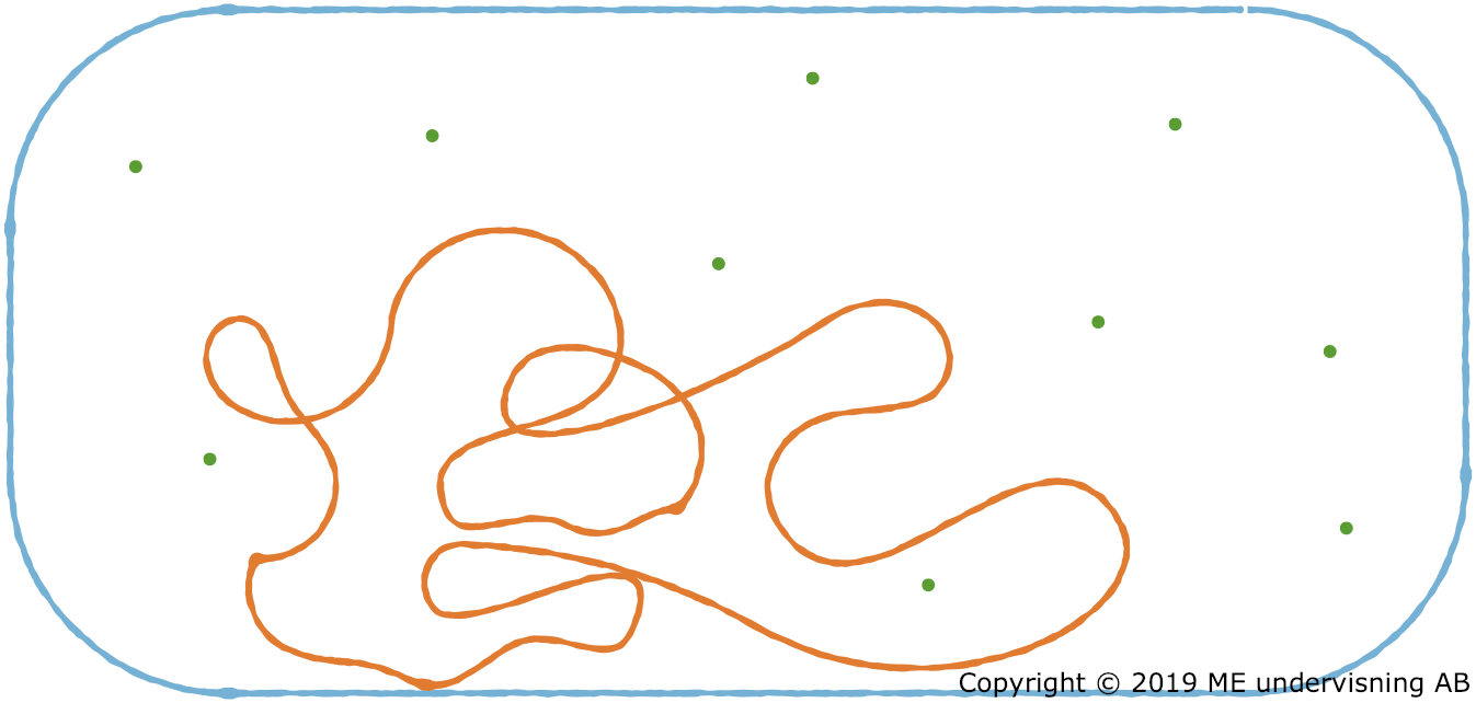 A very simple bacterial cell with cellular membrane (blue), DNA (orange), and enzymes (green).