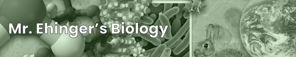 Magnus Ehingers undervisning – Allt du behöver för A i Biologi, Kemi, Bioteknik, Gymnasiearbete m.m.